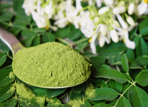 Moringa Powder